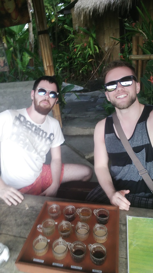 Trying teas and Kopi Luwak Trying teas and Kopi Luwak